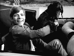 7 filme auf 4 dvds. Die Lummel Von Der Ersten Bank 5 Dvds Filme De