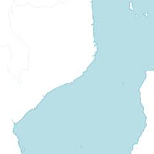 Image result for Megalochlamys revoluta