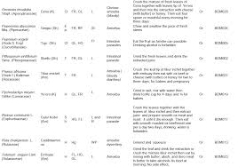 Image result for Oncinotis