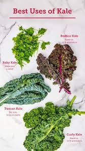 How To Cook Kale How To Cook Kale Baby Kale Recipes Types Of Kale