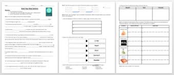 Brainpop Body Systems By Ardito Middle School Science Center Tpt