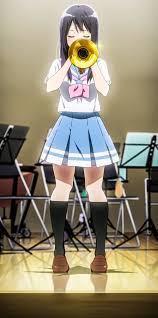 Pin On Sound Euphonium