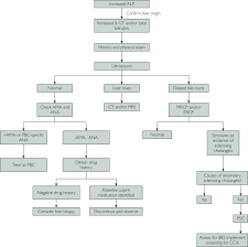 The liver is a large organ and can function normally even with a large tumour. Cholestatic Liver Diseases Mayo Clinic Proceedings