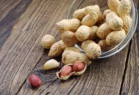 Dogs that ate between 6 and 40 macadamia kernels or macadamia nut butter. 30 Foods Cats Can And Can T Eat