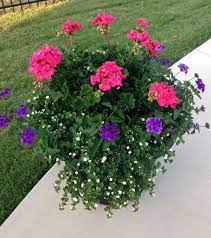 Pin On Pretty Petals