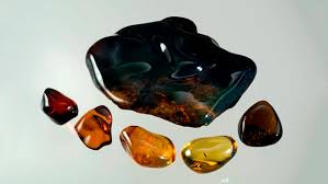 Image result for Amber