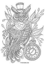 Two cute owls, with a beautiful village in background and some flowers. 270 Owl Coloring Pages For Adults Ideas In 2021 Owl Coloring Pages Coloring Pages Owl