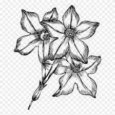 Download and use 10,000+ flower background stock photos for free. Hand Drawn Flowers Png Free Hand Drawn Flowers Png Transparent Images 68432 Pngio