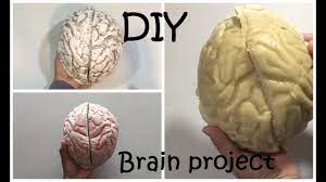 How To Make A Brain Project Diy Brain #42 - Youtube