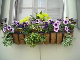 Mount window planters or hang them from your deck rails to beautify your home and turn your neighbors green with envy. Flowers For Window Boxes Sun And Shade Loving Plants The Old Farmer S Almanac