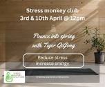 Stress Monkey Solutions | Stornoway