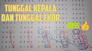 Tarikan Jitu Sgp Hari Minggu 16 Februari 2020 Youtube