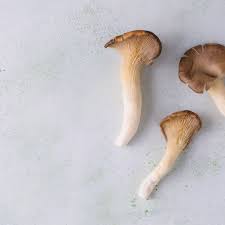 Discard parsley sprigs from liquid in pot. Chanterelle Mushroom Nutrition Facts And Health Benefits