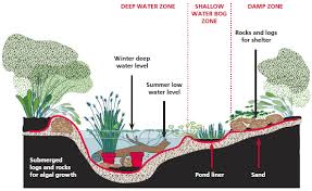 All The Dirt On Gardening Backyard Wetland It S A Bog A Quaking Bog A Swamp Modern Design Tuin En Landschap Vijver Ideeen Tuin