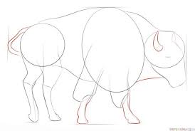 How To Draw A Realistic Bison Step By Step Drawing Tutorials Drawing Tutorial Bison Art Step By Step Drawing