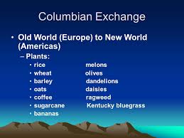 Columbian exchange, the largest part of a more general process of biological globalization that followed the transoceanic voyaging of the 15th and 16th centuries, particularly in the wake of. The Columbian Exchange Ppt Video Online Download