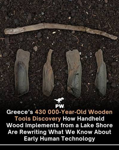 430,000-year-old well-preserved wooden tools are the oldest ever found  Researchers working in southern Greece have identified the oldest known  handheld wooden tools, dated to about 430,000 years ago. The objects came  from