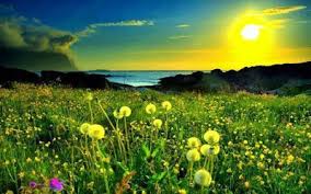 Download and use 100,000+ background stock photos for free. Pin On Nature S Beauty