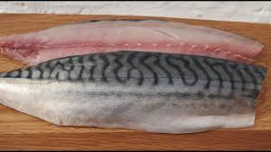 How To Fillet A Mackerel And Cook It In Real Time Mackerel Mackerel Recipes Mackerel Fillet Recipes King Mackerel