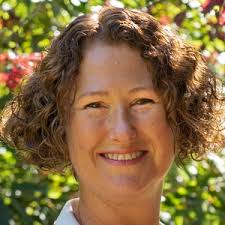 Northamptonshire County Council local election: The 5 candidates in  Sixfields