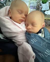 Kyle and Dylan have stolen our hearts! We are in love and grateful to have  them home together. Best is yet to come.🧑‍🧑‍🧒‍🧒💙🩷❤️‍🔥 #babies #twins  #family #snuggles #dad #lgbt #ryanwaynesalon #ryanwaynediva  #ryanwaynehaircare