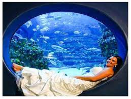 North Carolina Aquariums North Carolina Aquarium At Fort Fisher Aquarium Fish Tank Saltwater Fish Tanks Fish Tank