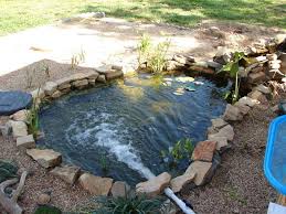 If you search for duck pond filters in the duck thread and diy threads you will get some good ideas also. How To Build A Pond