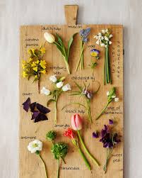 They can get to be seven feet high if not properly pruned. Epingle Sur Floral Diy Board And Pins From Tulipina Blog