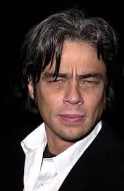 Benicio del toro sera bret easton ellis