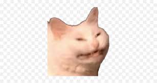 Meme cat png collections download alot of images for meme cat download free with high quality meme cat free png stock. Cringe Png And Vectors For Free Download Dlpngcom Sneezing Cat Meme Transparent Emoji Free Transparent Emoji Emojipng Com