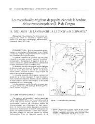Image result for Landolphia eminiana