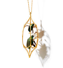 Image result for Chrysochloa