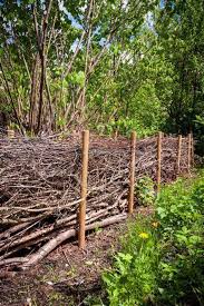 “The Beauty and Benefits of a Simple Dead Hedge: A Natural Haven for ...