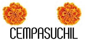Mexico and central america african marigold, aztec marigold, big. Cempasuchil Bakery Photos Facebook