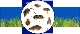 Whether you contact us because you've discovered pests in your house or because you want to have preventative services performed, we'll begin our service with an inspection of the interior and exterior of your home. Fascinating Heritage Pest Control Rssmix Info