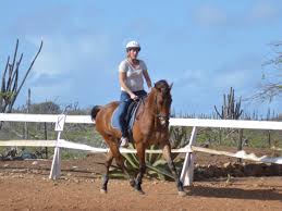 Horse riding for pleasure is an increasingly popular activity in the uk. Horseback Riding Lessons Rancho Washikemba Rancho Washikemba Horse Ranch Bonaire