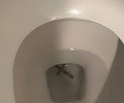 RO 🦖 (@RocioSomeday)  X