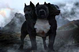 What are the names of the pets in harry potter? 3 Headed Dog Gif Novocom Top