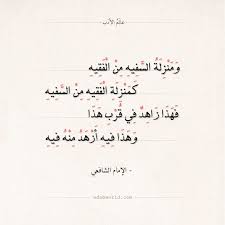 شعر الإمام الشافعي ومنزلة السفيه من الفقيه عالم الأدب Arabic Poetry Quotes Poems