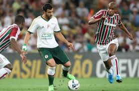 Vamos mostrar q o fluminense é muito maior do q a corja que está por lá e sairá em breve. Fluminense X Palmeiras Brasileirao 2014 Photos Playmakerstats Com