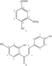 Image result for Trilepisium madagascariense