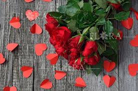 Hovězí kalhotky nebo květy z výkalů? Ruze K Valentynu Flora Online