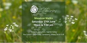 Meadow Walks at Glandwr Forest - The Carbon Community
