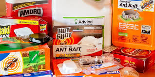 Shirking is better than fix. The Best Ant Killer Reviews By Wirecutter