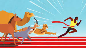 They are barking at it and running away from it. Humans Are Better At Endurance Running Than Any Animal On The Planet