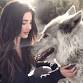 Take part in enchanting wolf encounters