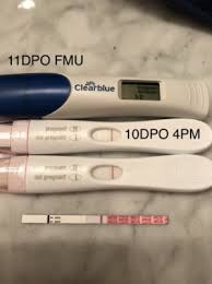 Easy At Home Pregnancy Tests Update Bfp Trying For A Baby Babycenter Canada