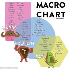 If you didn't guess it already, that meals apples are classified as a carb. Californian Blogger Shares How To Balance Protein Carbs And Fats Express Digest