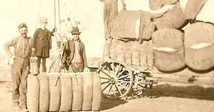 Cotton Bales Heading To Market Location Unknown Circa 1900 Cotton Slavery Painting