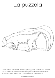 Disegni Di Animali Che Vanno In Letargo Da Colorare Disegni Animali Disegnare Animali